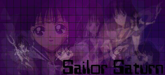 ssdmfsig.gif